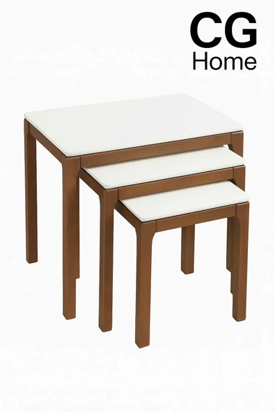 CG HOME Mono Zigon Sehpa Üçlü Lüx %100 Ağaç Lake Boyalı Sehpa - Resim 5