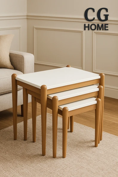 CG HOME ADA Zigon Sehpa Üçlü Lüx %100 Ağaç Lake Boyalı Sehpa - Resim 6