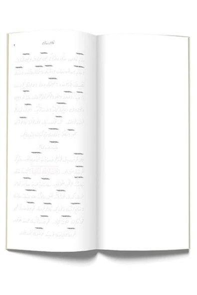 GÖLGELİ YAZI  ESERLERİ 6 ADET RİSALE-İ NUR İKTİSAD-İHLAS-TABİAT-NAMAZ-HASTALAR-M.AHMEDİYE - Resim 2