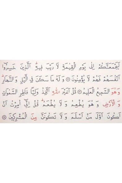 Kur'an­ı Kerim Hayrat Neşriyat Hafız Boy Süet Soğuk Baskı (pudra Pembe, Yaldızlı, Mühürlü) - Resim 4