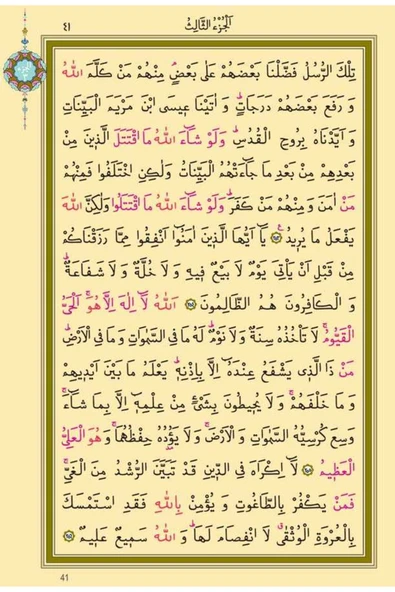 Hatmi Şerif Cami Boy Çantalı Bez - Resim 4