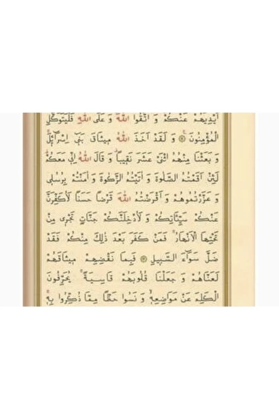 Hayrat Kalem Kuran- Kuran Okuyan Kalem-ortaboy-yeşil-karton Kutu - Resim 4