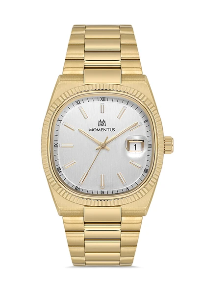 MOMENTUS CM262G-02SG Erkek Kol Saati ürün görseli