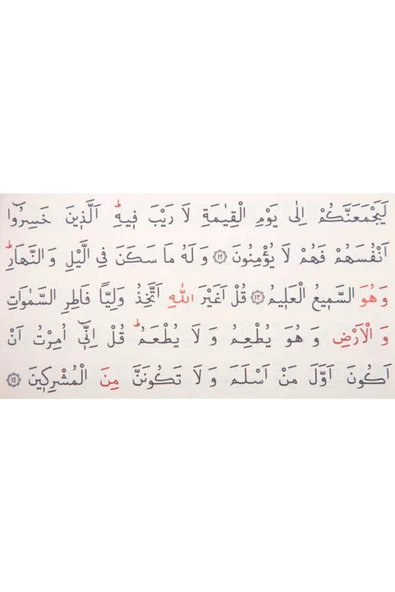 Ahşap Kutulu Kur'an-ı Kerim (0123 - Çanta Boy) - Resim 4