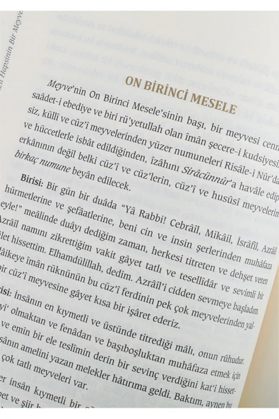 Asa-yı Musa Diyanet Yayınları Bediüzzaman Said Nursi Risalei Nur Külliyatı Asayı Musa - Resim 2