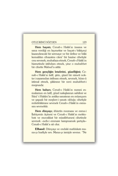 Gençlik Rehberi Orta Boy - Bediüzzaman Said Nursi Risale-i Nur Külliyatı RNK - Resim 3