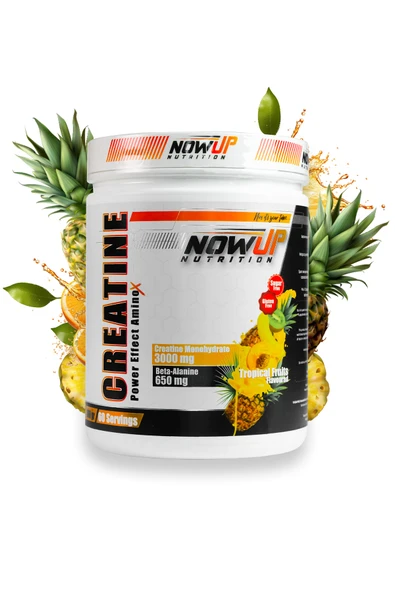 NOWUP NUTRITION – Fitness Başlangıç Paketi | Yeni Başlayanlar İçin Güçlü Takviye Seti - Resim 4
