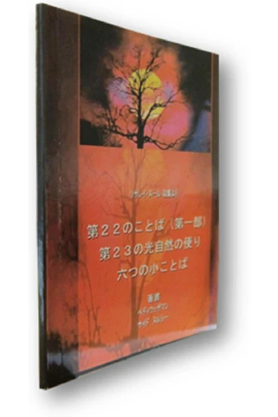 TABİAT RİSALESİ - 22.SÖZ - ALTI KÜÇÜK SÖZ  JAPONCA - İHLAS NUR NEŞRİYAT ürün görseli