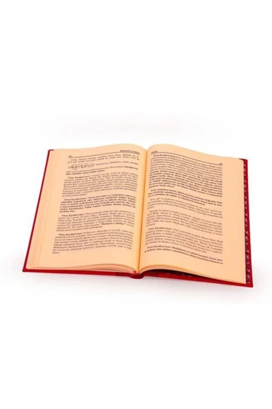 Mesnevi-i Nuriye / Risalei Nur Tercümesi (Orta Boy, Sırtı Deri, Kod:209) - Resim 2