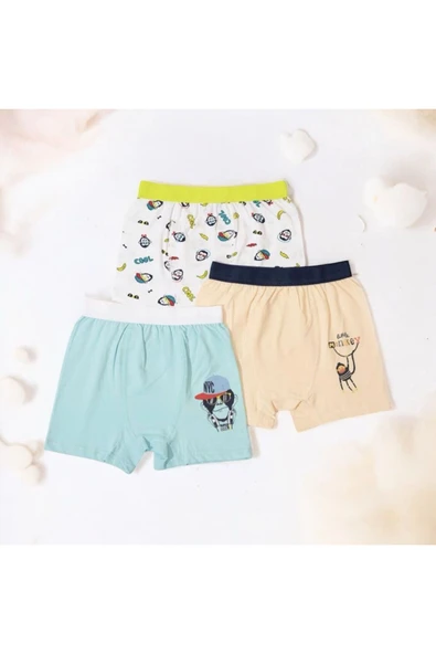 BATU GİYİM erkek çocuk boxer seti - 2