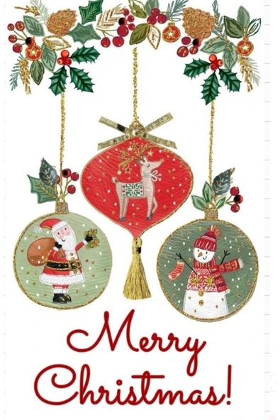 BATU GİYİM Bebek ve çocuk Yılbaşı yeniyıl havlu külotlu çorap seti - 4