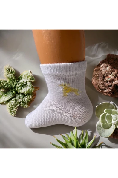 BATU GİYİM 6LI BEBEK ÇORAP SETİ - 3