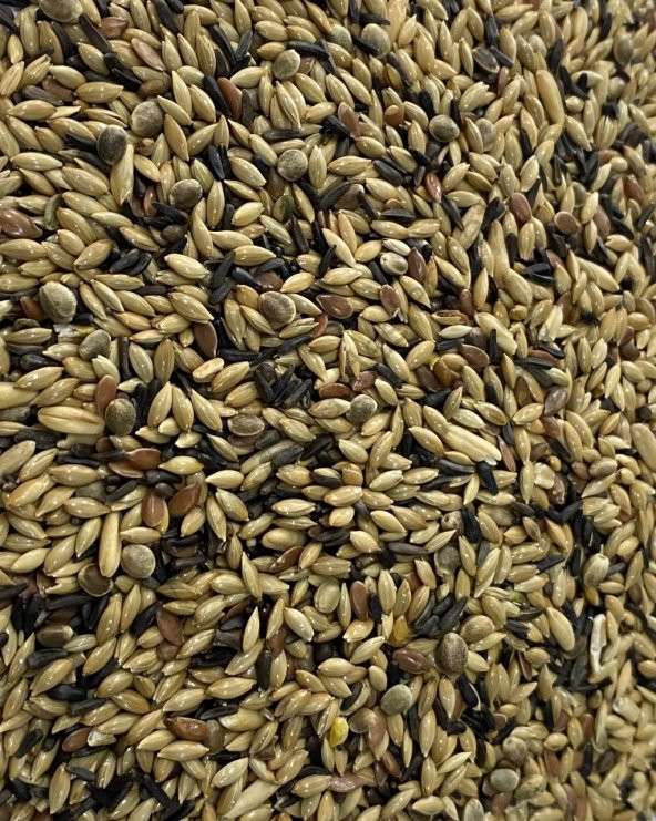 NATURAL PROFESYONEL KANARYA KARIŞIK YEMİ - 20KG - 2