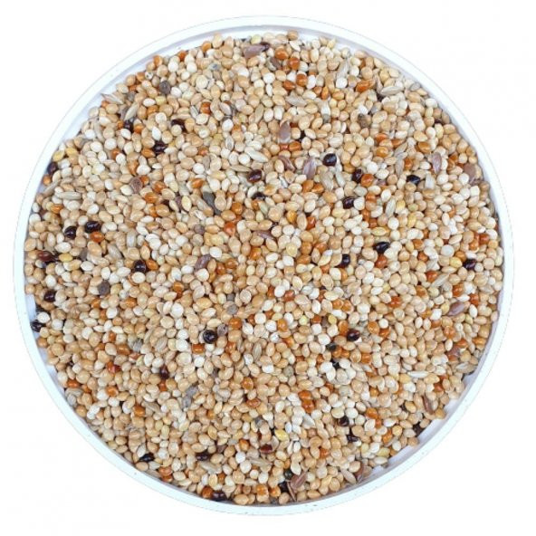 25 KG VİVİD BİRD KARIŞIK ÜRETİCİ MUHABBET YEMİ - 2