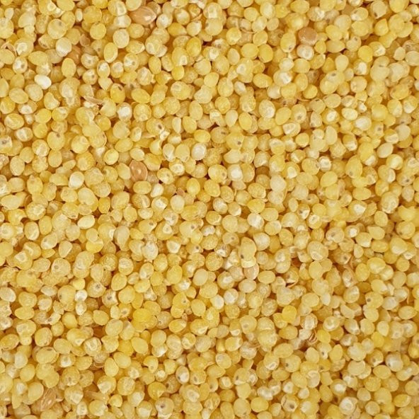 SOYULMUŞ DARI 2KG ÜCRETSİZ KARGO