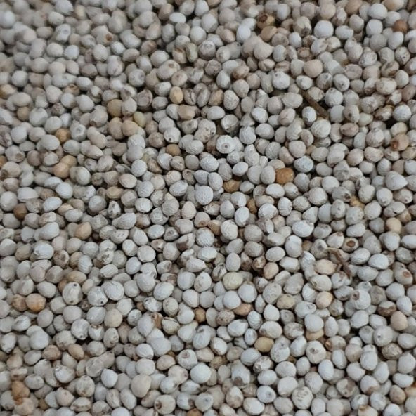 PERİLLA TOHUMU 2KG ÜCRETSİZ KARGO ürün görseli 1