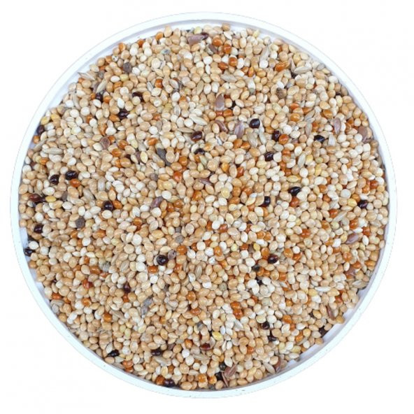 25Kg Vivid Bird Muhabbet Kuşu Özel Karışım Yem - 2