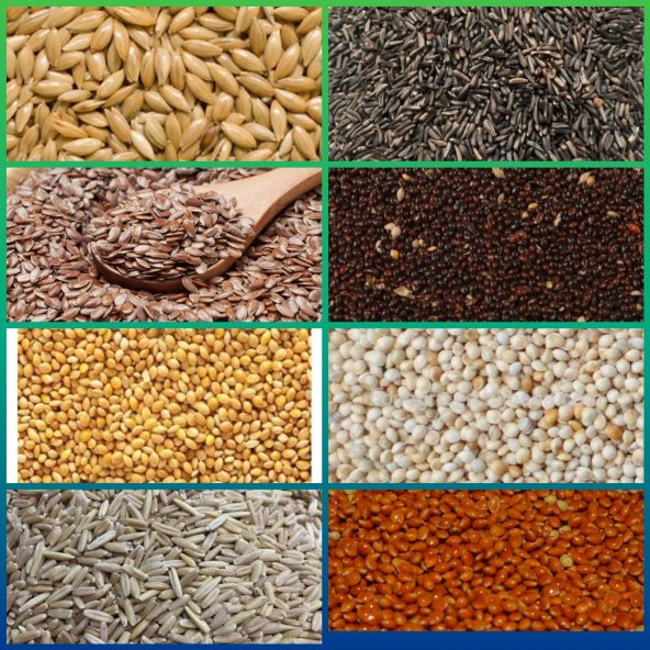 ÖZEL YEM PAKETİ 7KG UCRETSIZ KARGO