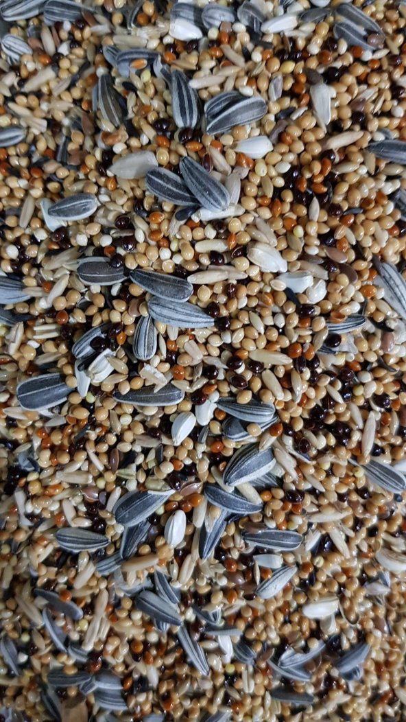 10KG CENNET-SULTAN PAPAGANI PARAKET YEMİ ÖZEL KARIŞIK