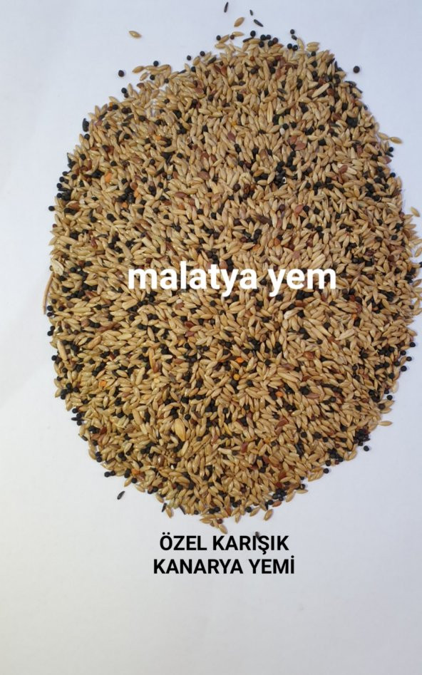 5KG KARISIK KANARYA YEMİ