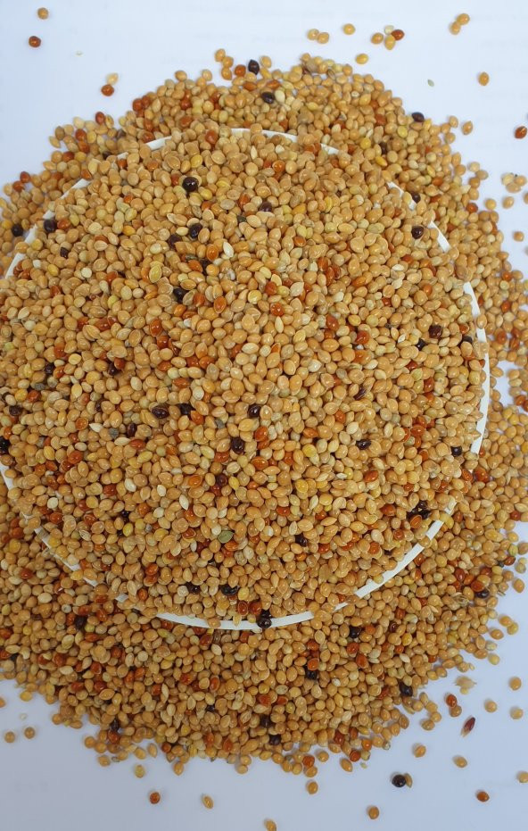 25KG ÖZEL ÜRETİCİ MUHABBET YEMİ SÜPER KALİTE  ÜCRETSİZ KARGO