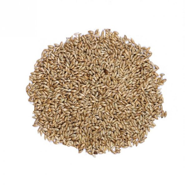 KATZOO SADE KANARYA YEM CIFT ELEME 20KG - 2