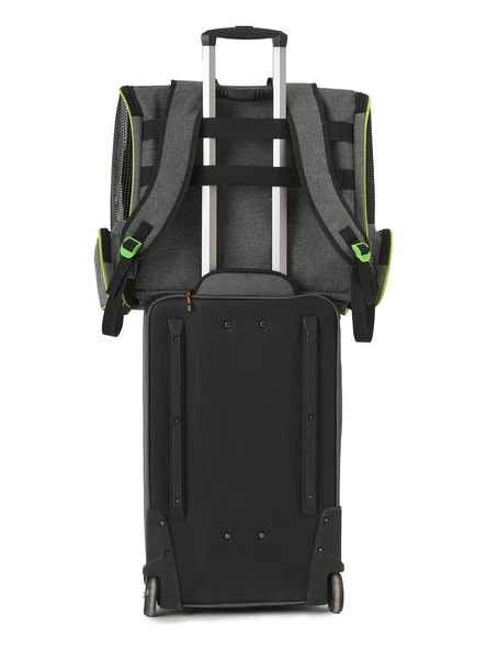 Brave Paws Kedi ve Köpekler Için Piramit XL Taşıma Çantası - Geniş Alan Havalandırmalı Seyahat Çantası - 5