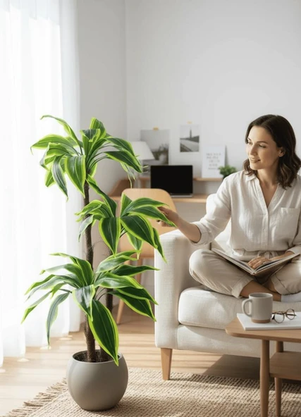 Yapay Ağaç Yukka Sarı Şeritli Draceena Ağacı Mokka Kahve Küre Saksıda 120*50cm 54 Yapraklı - 5