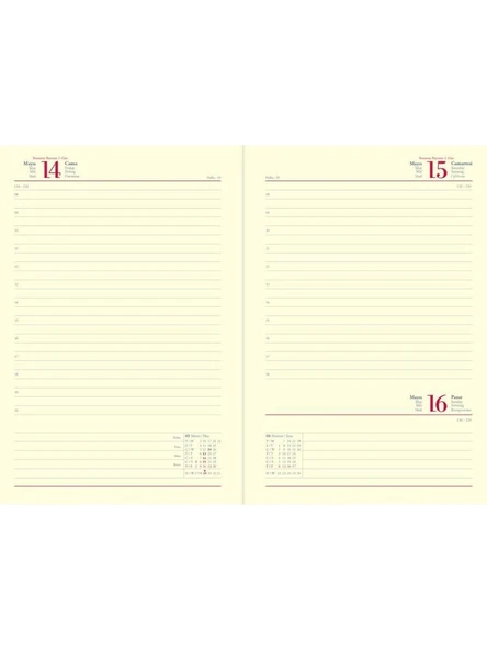 Gıpta 2026 Spiralli Günlük Ajanda 20x28 cm 419-SEK Krem - Resim 2