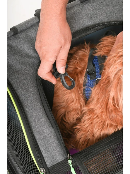 Brave Paws Kedi ve Köpekler Için Piramit XL Taşıma Çantası - Geniş Alan Havalandırmalı Seyahat Çantası - 4