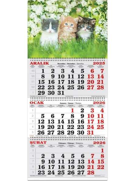 Keskin Color 2026-3 Aylık Spiralli Jumbo Denizci Takvim-Kediler ürün görseli 1
