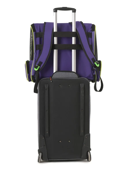 Brave Paws Kedi ve Köpekler Için Piramit XL Taşıma Çantası - Geniş Alan Havalandırmalı Seyahat Çantası - 12