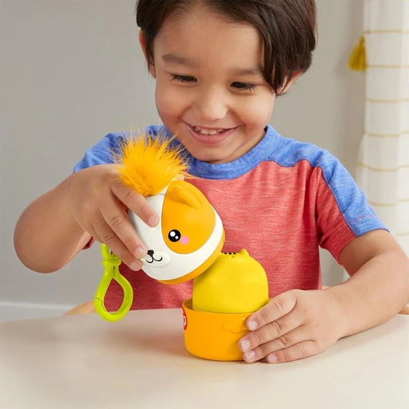 HXP17 Fisher-Price Taşınabilir Sevimli Dostlar - Resim 3