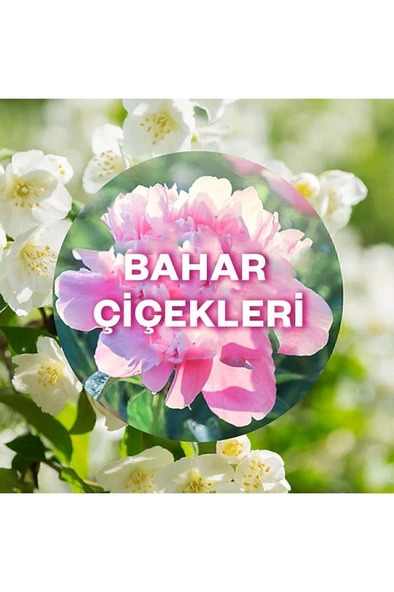 Air Wick Elektrikli Oda Kokusu Yedek Şişe Bahar Çiçekleri - Esansiyel Yağlar Içerir x 2 - 2