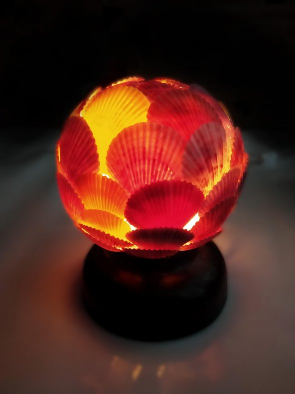 Doğal Deniz Kabuklarından Yapılmış Top Lamba Abajur Gece Lambası