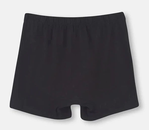 2 li Paket Dagi Erkek Penye Boxer D1220 - Resim 2