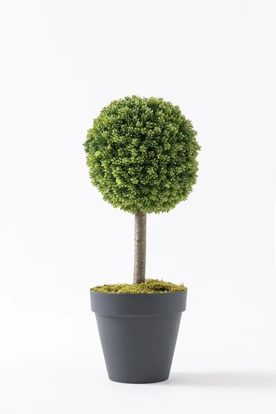 Yapay Top Çamdalı Ağacı Tekli 70 Cm(Uv)