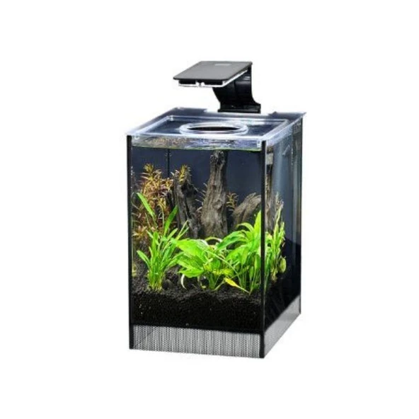 Anubias Danio 17 Nano Akvaryum Siyah 9 Lt 17x22x26,5 Cm ürün görseli