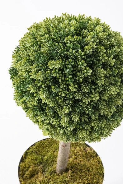 Yapay Top Çamdalı Ağacı Tekli 70 Cm(Uv) - 2