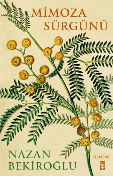 Mimoza Sürgünü ürün görseli