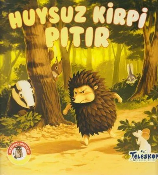 Huysuz Kirpi Pıtır - Ormandan Hikayeler ürün görseli