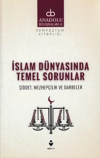 Anadolu Buluşmaları 11 - İslam Dünyasında Temel Sorunlar ürün görseli