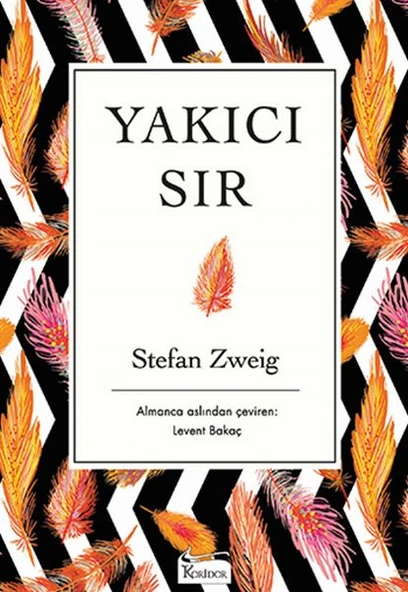 Yakıcı Sır (Bez Ciltli) ürün görseli