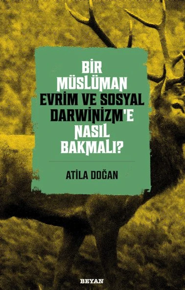 Bir Müslüman Evrim ve Sosyal Darwinizm’e Nasıl Bakmalı? ürün görseli