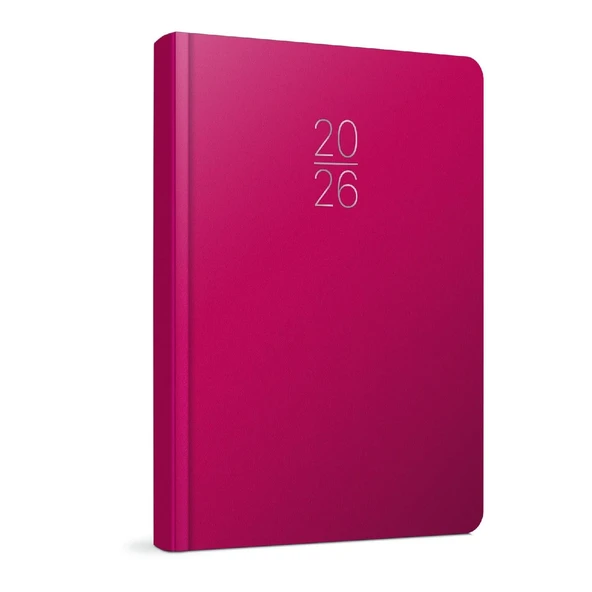 Gıpta 2026 17x24 336 Sayfa Dikişli Cilt Bezi Günlük Ajanda 107-ECK - Resim 3