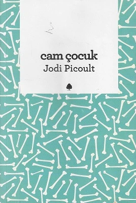Cam Çocuk Jodi Picoult April Yayıncılık ürün görseli
