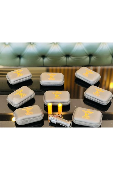 powerdex PD-7007 15 Watt Mıknatıslı Mini Şarjlı El Feneri - Resim 2