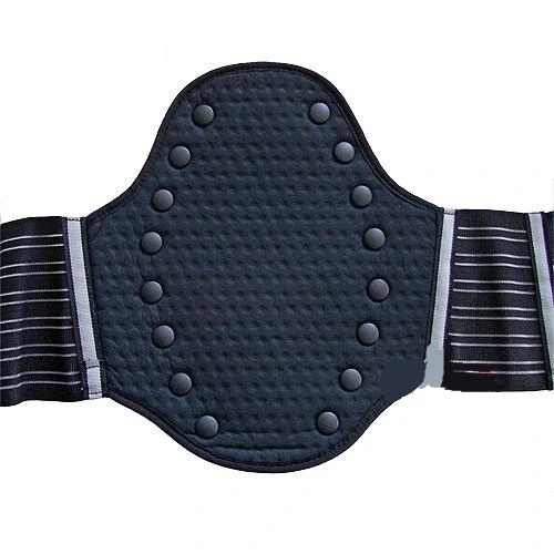 ZANDONA 1006 BELLİK - 2