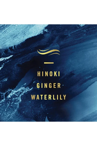 Febreze Araba Kokusu Hawaiian Aloha - Ocean 5li Paket - Resim 4