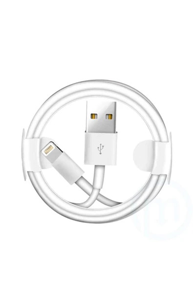 Apple Lightning - USB Kablosu (1 m) - MXLY2ZM/A - Resim 5